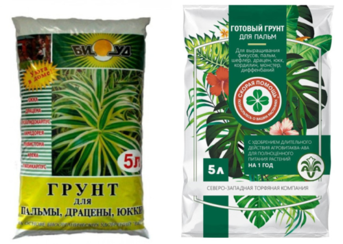 Грунты для пальм