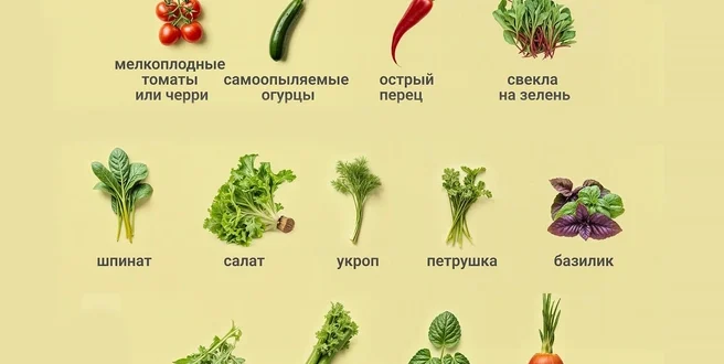 Лучшие сорта для выращивания в домашних условиях: выбор и советы