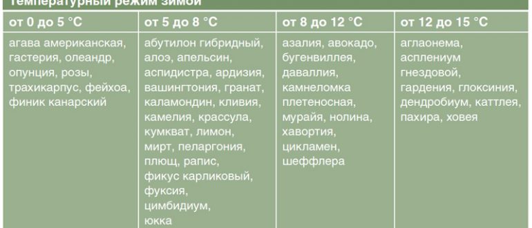 Оптимальная температура для комнатных цветущих растений — таблица и советы