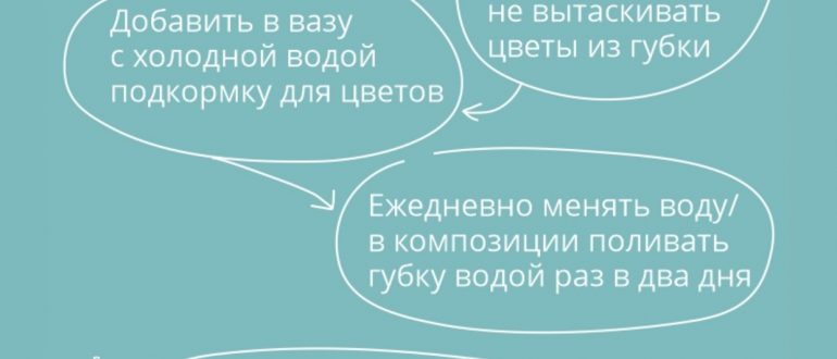 Уход за цветами: правильные советы для зимы и лета
